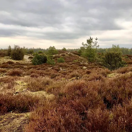 Feriehus 4 Person In Grindsted-by Traum Grindsted