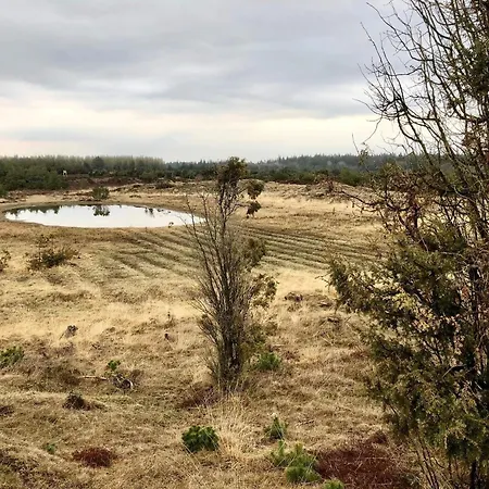 Hébergement de vacances 4 Person In Grindsted-by Traum