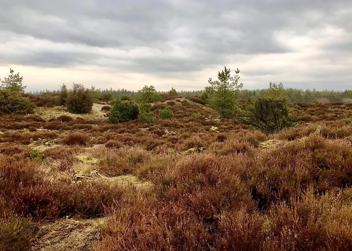 Vakantiehuis 4 Person In Grindsted-by Traum Grindsted