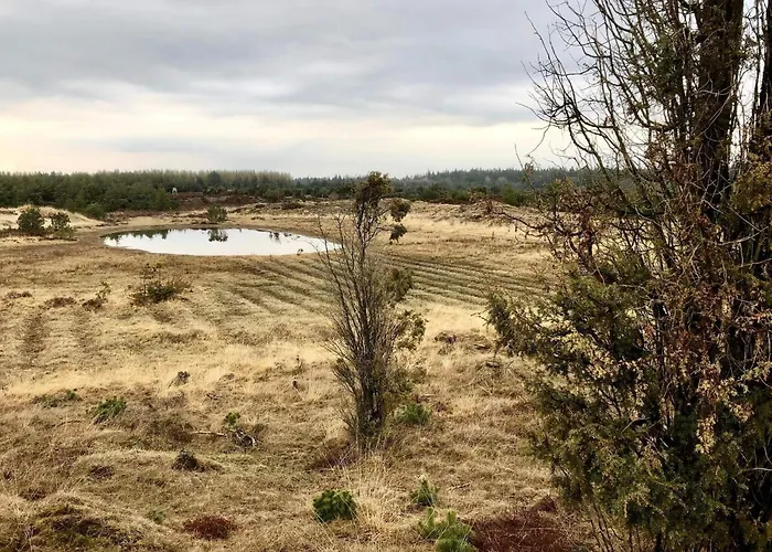 Vakantiehuis 4 Person In Grindsted-by Traum